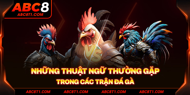 Những thuật ngữ thường gặp trong các trận đá gà