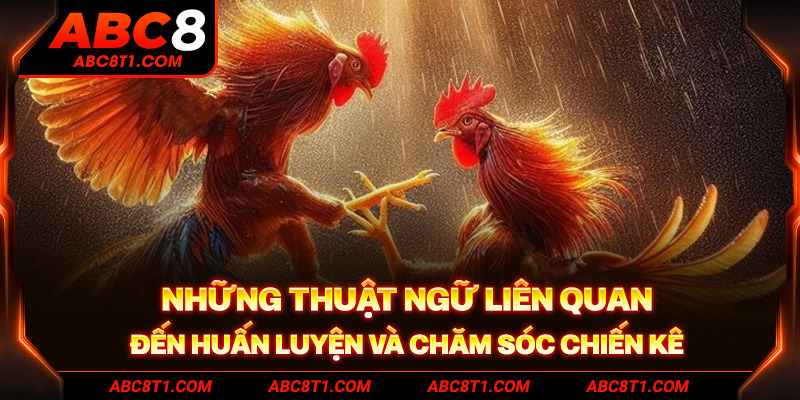 Những thuật ngữ liên quan đến huấn luyện và chăm sóc chiến kê