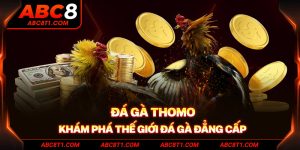 Đá Gà Thomo - Khám phá thế giới đá gà đẳng cấp