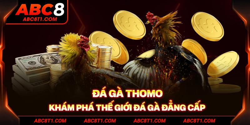 Đá Gà Thomo - Khám phá thế giới đá gà đẳng cấp
