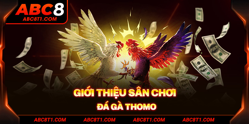 Giới thiệu sân chơi đá gà thomo Giới thiệu sân chơi đá gà thomo