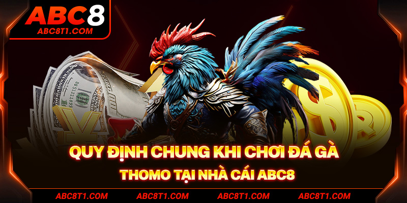 Quy định chung khi chơi đá gà Thomo tại nhà cái ABC8 Quy định chung khi chơi đá gà Thomo tại nhà cái ABC8